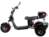 Электротрицикл SKYBOARD TRIKE BR40-3000 PRO FAST - Фото 5