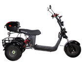 Электротрицикл SKYBOARD TRIKE BR40-3000 PRO - Фото 2