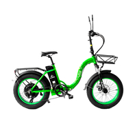 Elbike Taiga 1 Vip (13), Зеленый