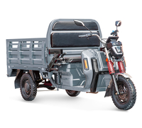 Rutrike Антей Pro 1500 60V1200W