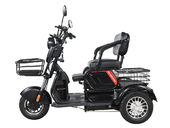 Электротрицикл White Siberia SIBTRIKE 2000W - Фото 1